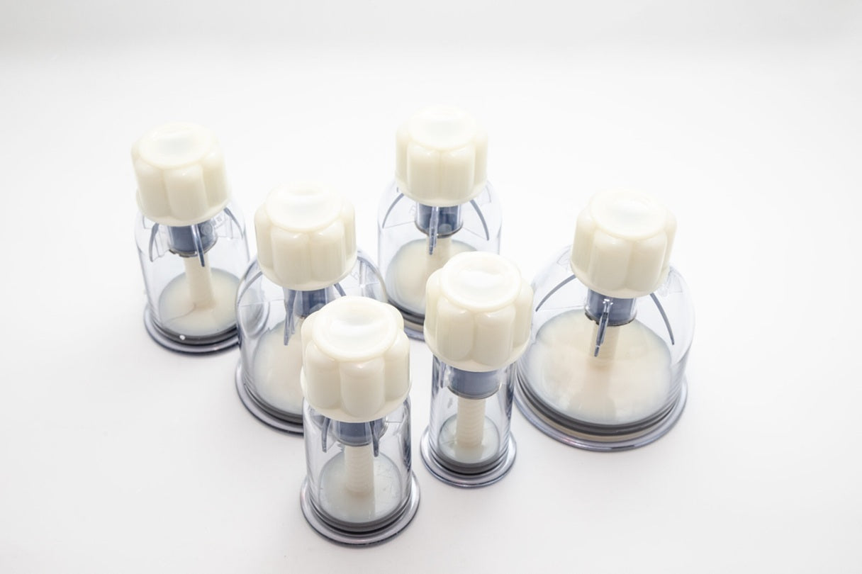 Set of dental models in clear plastic holders on a white background